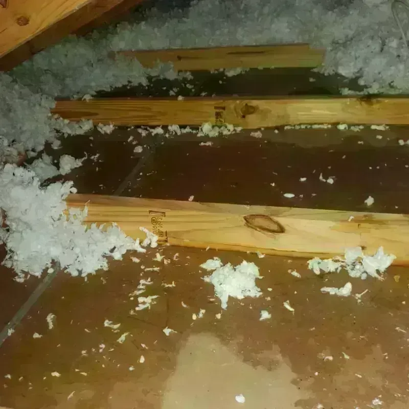 Attic Water Damage in Hormigueros, PR